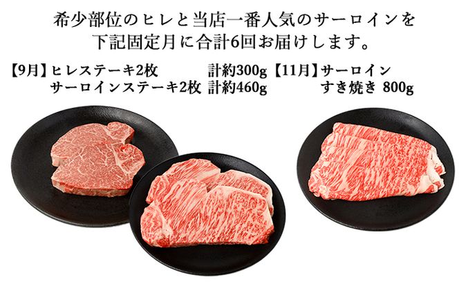 【年6回奇数月発送】伊賀牛 A5ヒレ・サーロイン 定期便B 総合計約4.7kg【dido-tkb0007】