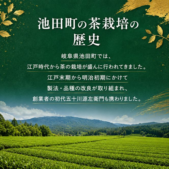 美濃いび茶セット TSH-30 飲料類 お茶 