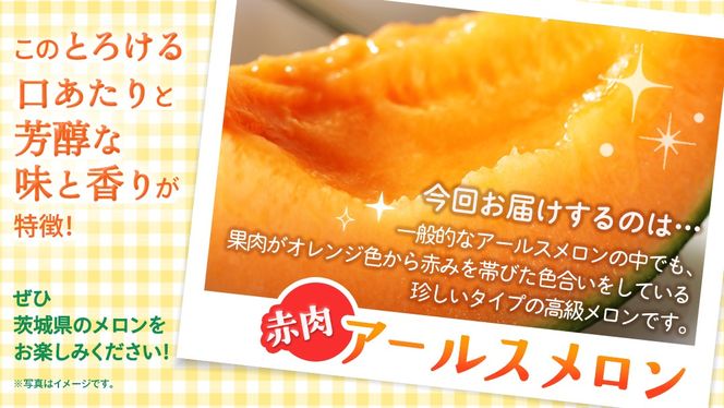 ＼ 玉数とお届け回数が選べる ／ 赤肉アールスメロン 1玉 / 2玉 / 3玉 アールスメロン 赤肉 ギフト 高糖度 甘い フルーツ 誕生日 プレゼント ギフト 贈り物 父の日 母の日 1回 / 2回 / 3回 / 6回 / 12回