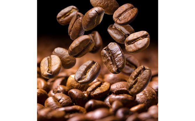 ヴィディヤ ドリップコーヒー 10ｇ×50袋×３種 ＝ 150杯 1.5kg 272230_CV001