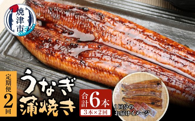 a50-152　【定期便】静岡県産　うなぎ蒲焼き 3本×2回