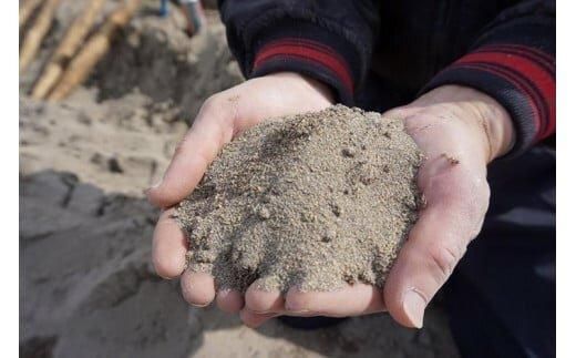 753.【ご自宅用】鳥取特産品　砂丘ながいも（カット）3kg 313726_BR001