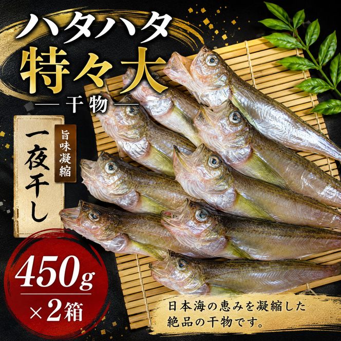 ハタハタ（特々大）干物 一夜干し 450g ×2箱【配送不可：離島】 魚貝類 海鮮 干物 おつまみ 肴 ハタハタ 酒  myz02 myz11 myz17