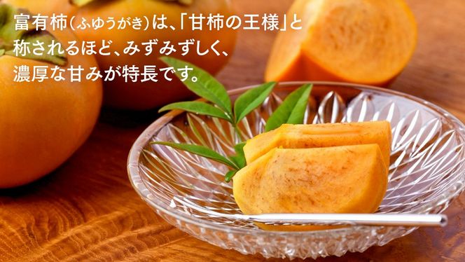 富有柿 約10kg 【2026年10月より発送開始】 （茨城県共通返礼品 [柿]：大子町産） かき 旬 お取り寄せ フルーツ 甘い 秋の味覚 [FC11-NT]