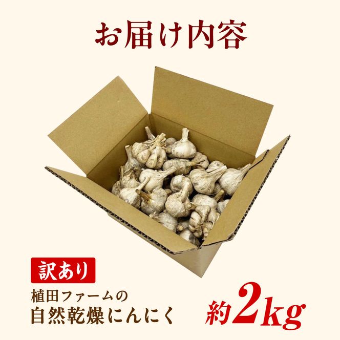 【訳あり】 平戸にんにく 約2kg 乾燥 ニンニク 平戸にんにく 訳アリ わけアリ 不揃い 型崩れ 自然乾燥 大量 大容量 常温 配送 数量限定 高知県産 高知県 土佐市【株式会社　植田ファーム】[BQAT007]