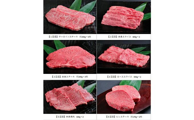 飛騨牛いろいろ定期便 毎月お届け全6回 サーロイン お肉 牛肉 ステーキ 焼肉 バーベキュー ※離島への配送不可