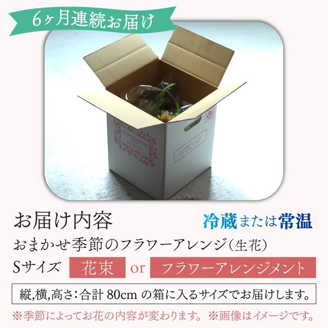 【定期便6回】母の日アレンジok おまかせ季節のフラワーアレンジ（生花）Ｓサイズ×6ヶ月 お好み 日時指定可能