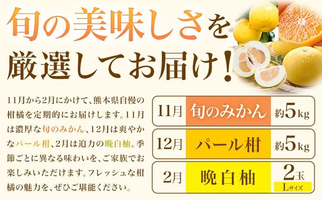 旬の柑橘定期便 山本果樹園 旬のみかん 約5kg パール柑 約5kg 晩白柚 2玉（Lサイズ）《11月上旬-2月下旬頃出荷》果物 フルーツ ザボン 熊本県 特産品---hkw_ymk_7_mo3---