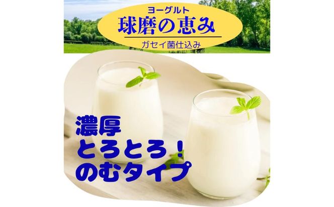 球磨の恵み のむヨーグルト (加糖タイプ) 10本 セット 加糖 【配送不可：沖縄県、離島】