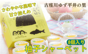 古座川町の 柚子シャーベット 8個入 ゆず 柚子 柚 ユズ フルーツ スイーツ アイスクリーム ジェラート【yuz116A】