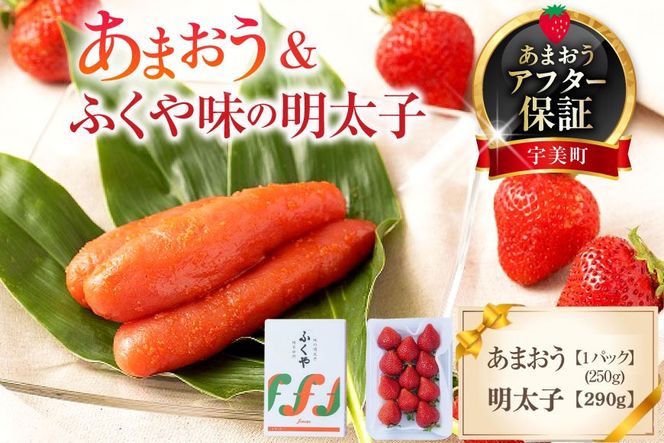 いちご 明太子 セット 福岡産あまおう 1パック 250g ふくや 味の明太子 290g 【期間限定発送】 [南国フルーツ 福岡県 宇美町 um40azo970037] 詰め合わせ 先行予約 あまおう イチゴ 苺 フルーツ 果物 果実 甘い あまい ふくや 辛子明太子 めんたいこ