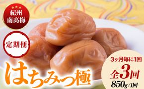 【定期便/3か月ごと/全3回】紀州南高梅はちみつ極塩分約6％（850g）