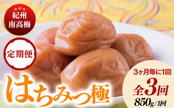 【定期便/3か月ごと/全3回】紀州南高梅はちみつ極塩分約6％（850g）