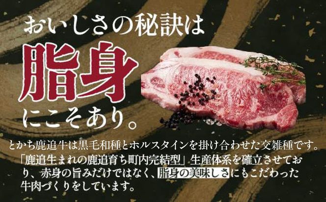 とかち鹿追牛　スペシャルセット 2,520g SKA018