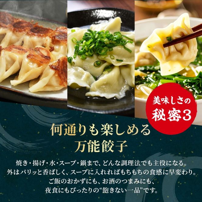 大刀洗 一口餃子 100個 特製たれ セット【ふるさと納税限定】 餃子