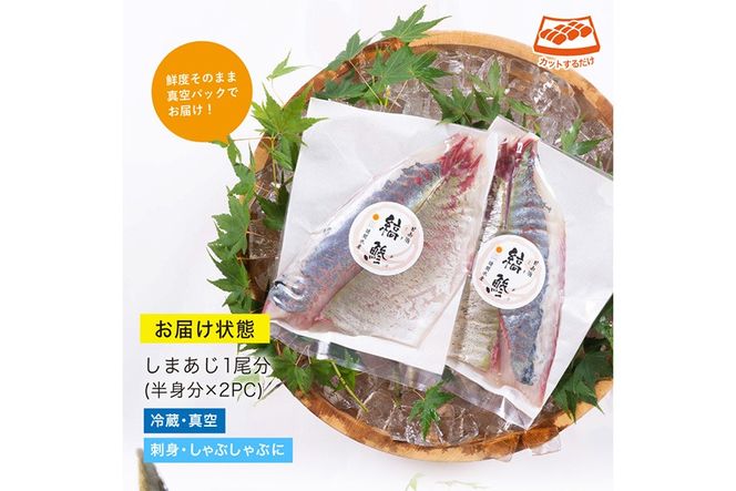 【北海道・離島配送不可】新鮮！しまあじのお刺身(1尾分：約500～600g)海鮮 魚介 お刺し身 シマアジ しゃぶしゃぶ 冷蔵 真空 国産【UZ-05】【請関水産】