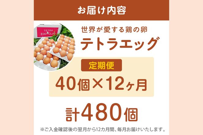 【J3-015】テトラエッグ(40個/月)【12ヵ月定期便】