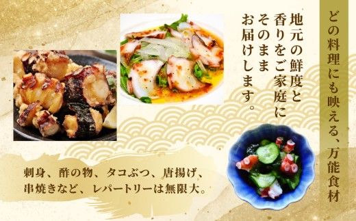 20-112 天然真蛸のボイル 1杯（冷蔵）三重県鳥羽で水揚げされた天然真蛸のボイル