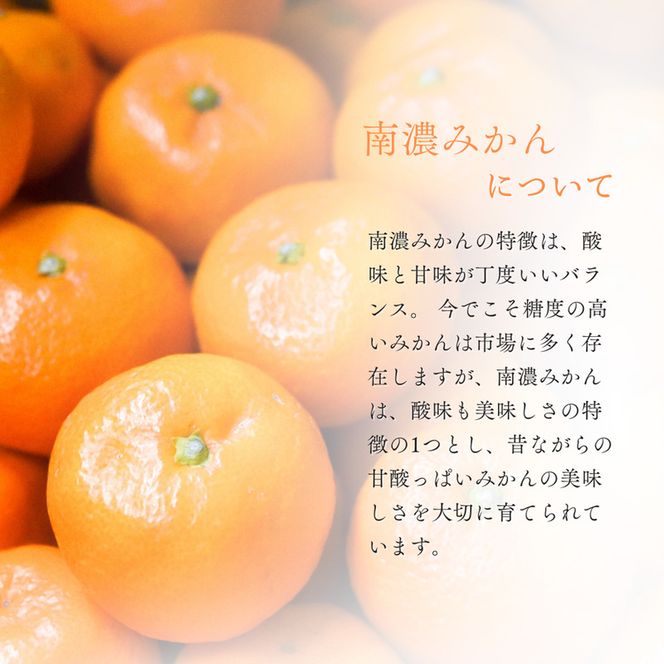 南濃みかんスパークリングワイン750ml＆南濃みかんGIN500ml ワイン スパークリングワイン ジン 酒 お酒 セット 南濃みかん 水谷酒店 岐阜 海津市