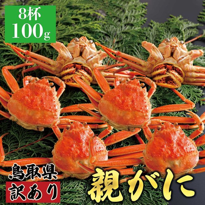 y挧khz1072.y2025N11z挧Y  e pyZRKjzi䥁jy󂠂z100g 8t 313726_BS080