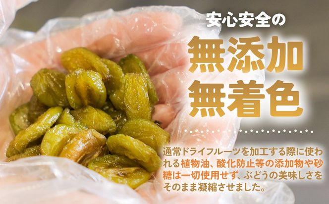 サントリー登美の丘ワイナリー〈SUNTORY FROM FARM　甲州　日本の白&SDGsドライシャインマスカット詰め合わせ〉AD-287