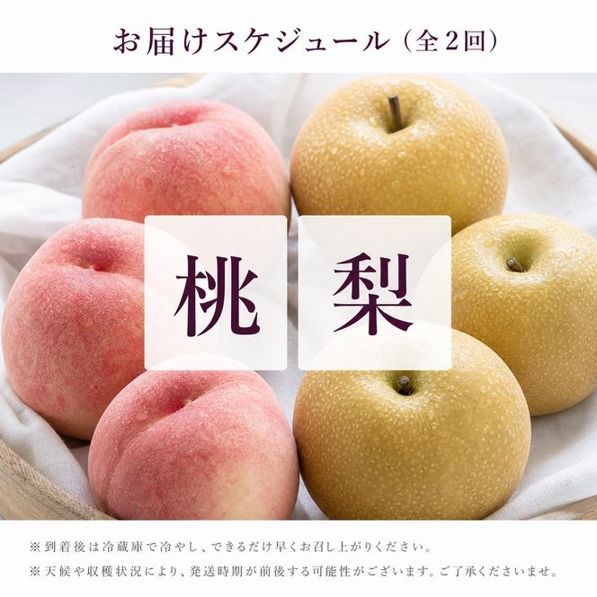 全2回 フルーツ定期便（桃 約1.8kg 8月、梨 約2kg 9月発送） ｜ 和歌山県産 モモ ナシ 旬 果物