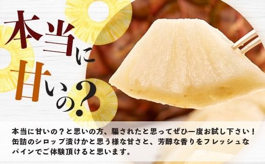 【マツコの知らない世界で絶賛！】《2026年4月～7月順次発送》【先行予約】パイナップル好きにおすすめ！満足のパイナップル2品種定期便【 沖縄 石垣 ピーチ ホワイトココ 完熟 セット フルーツ デザート 食べ比べ 定期便 TV テレビ 紹介 マツコ 】 TF-35_R8