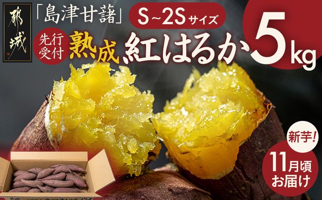 先行受付!【11月お届け】島津甘藷　熟成紅はるか 5kg(S～2S)_LE-A7-001-5kg-m-11