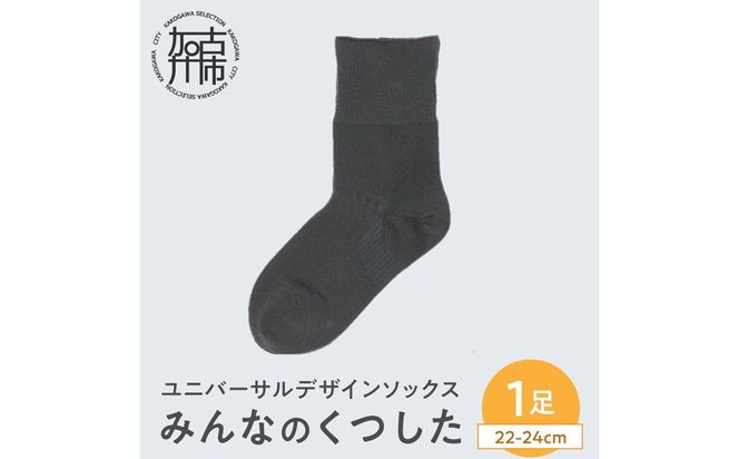 みんなのくつした 1足(22-24cm)【オックスフォードグレー】《 くつした 靴下 ソックス 加古川市 送料無料 》【2500T16802_03】