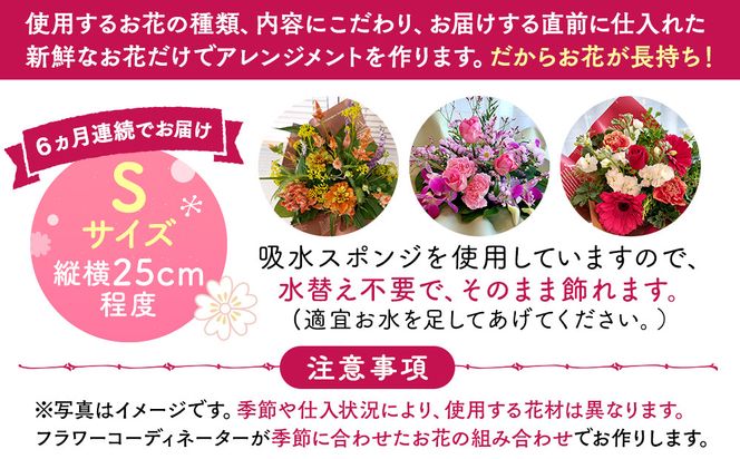 【定期便６ヵ月】季節の生花アレンジ　Sサイズ　６ヵ月連続でお届け 【 フラワー アレンジメント お花 ギフト プレゼント 贈り物 誕生日 お祝い 神奈川県 小田原市 】 142069_HQ010