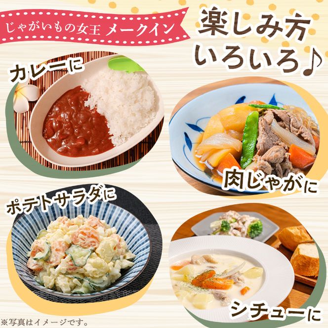 ＜先行予約受付中！2026年5月下旬以降順次発送予定＞訳あり！じゃがいも「メークイン」(約5kg) じゃがいも ジャガイモ 芋 国産 野菜 期間限定 数量限定【古田果樹園】akn093-01