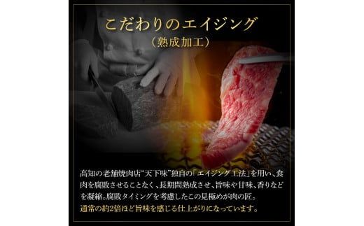 土佐和牛 特選ロースブロック500g 田野屋銀象完全天日塩1P付き 長期熟成肉 田野屋銀象 完全天日塩付き ロース 牛肉 ブロック 肉 お肉 和牛 国産 牛 熟成肉【株式会社LATERAL】 [BQAU054]
