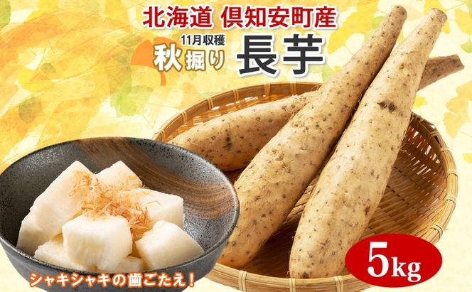 【 2026年 出荷 】 北海道 倶知安町産 長芋 2L×約6本 計5kg 秋堀り 芋 ながいも とろろ 新鮮 フレッシュ 野菜 農作物 産直 山芋 麦とろ 山かけ おつまみ グリーンアースファーム 送料無料 北海道 倶知安町 新鮮野菜 