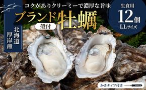 北海道厚岸産 生食用 殻付カキ LLサイズ  12個　マルえもん 魚貝類 海の幸 海のミルク 海鮮 国産 北海道産 オイスター つまみ お酒 あて 肴 生牡蠣 メルマガ掲載商品1