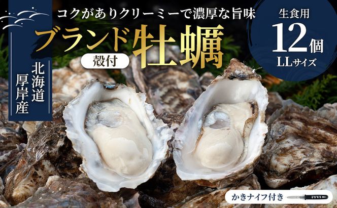 北海道厚岸産 生食用 殻付カキ LLサイズ  12個　マルえもん 魚貝類 海の幸 海のミルク 海鮮 国産 北海道産 オイスター つまみ お酒 あて 肴 生牡蠣 メルマガ掲載商品1