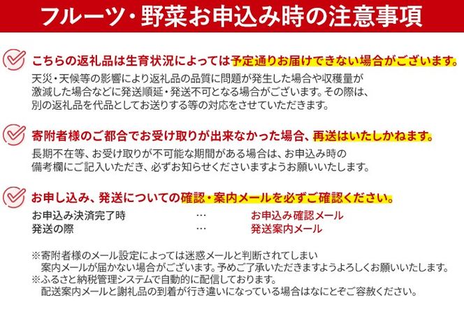 訳あり 熟成 紅はるか 5kg さつまいも 芋 サツマイモ 土付き サイズ色々 サイズ不揃い 九州産 焼き芋 やきいも 甘い デザート スイートポテト 生芋 おやつ デザート 野菜 いも【2024年12月以降順次発送】