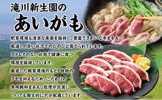 合鴨ももスライスセット 180g×4パック 北海道 カモ かも 鴨肉 カモ肉 もも肉