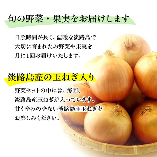 淡路島産野菜定期便1年【毎月下旬平日お届け】　野菜セット