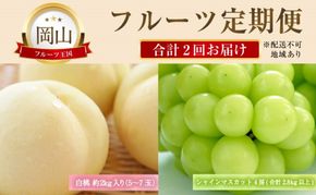 フルーツ 定期便 【2026年 先行予約】 晴れの国 おかやま の 白桃 2kg(5玉～7玉) シャインマスカット 4房(合計2.8kg以上) 岡山県産 国産 セット ギフト