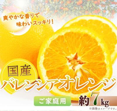 G7080_希少な 国産 バレンシアオレンジ 7kg 【家庭用 訳あり】【国産オレンジ オレンジ 柑橘 フルーツ 和歌山 有田】