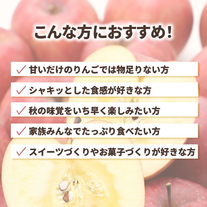 ＜先行予約＞ 早期発送 りんご ひめかみ 5kg 早生 旬 果物 フルーツ リンゴ 林檎 アップル くだもの 宮城県 大河原町 数量限定 送料無料