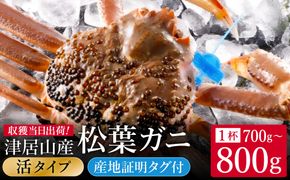 期間・数量限定 タグ付き 津居山産 松葉ガニ 1杯 / 活 700g～800g / 新鮮 松葉がに 松葉蟹 ズワイガニ ずわいがに かに カニ 蟹 冷蔵 海鮮 お取り寄せ グルメ 兵庫県 豊岡市 津居山漁港 但馬漁業協同組合