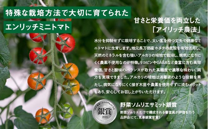 【先行予約】エンリッチミニトマト1kg【070006】