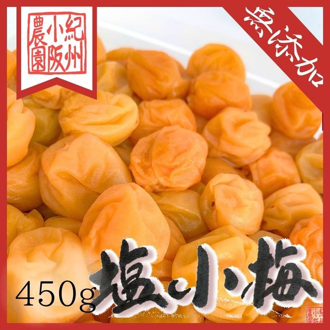 無添加 白干「小梅」450g【梅農家厳選　手づくり梅干】 304018_J022
