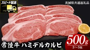【 スピード発送 】 【常陸牛 】 ハミデルカルビ500g（3～5枚） (茨城県共通返礼品) 国産 焼き肉 カブリ ゲタ リブ芯 リブ巻 中落ちカルビ バーベキュー BBQ お肉 ブランド牛 黒毛和牛 和牛 国産黒毛和牛 国産牛 牛肉