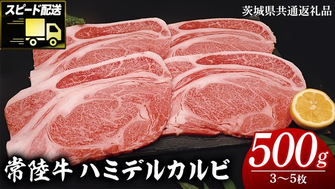 【 スピード発送 】 【常陸牛 】 ハミデルカルビ500g（3～5枚） (茨城県共通返礼品) 国産 焼き肉 カブリ ゲタ リブ芯 リブ巻 中落ちカルビ バーベキュー BBQ お肉 ブランド牛 黒毛和牛 和牛 国産黒毛和牛 国産牛 牛肉