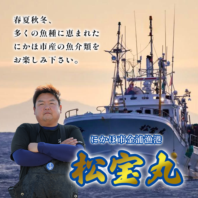にかほ市の漁師厳選！秋田沖の旬のお魚パック！（Mサイズ・3～4人前） 魚介類 直送 新鮮 詰め合わせ 