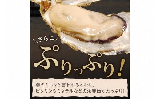京都・久美浜産　殻付き牡蠣　4kg（40個前後）【加熱用】牡蠣ナイフ付　MN00066