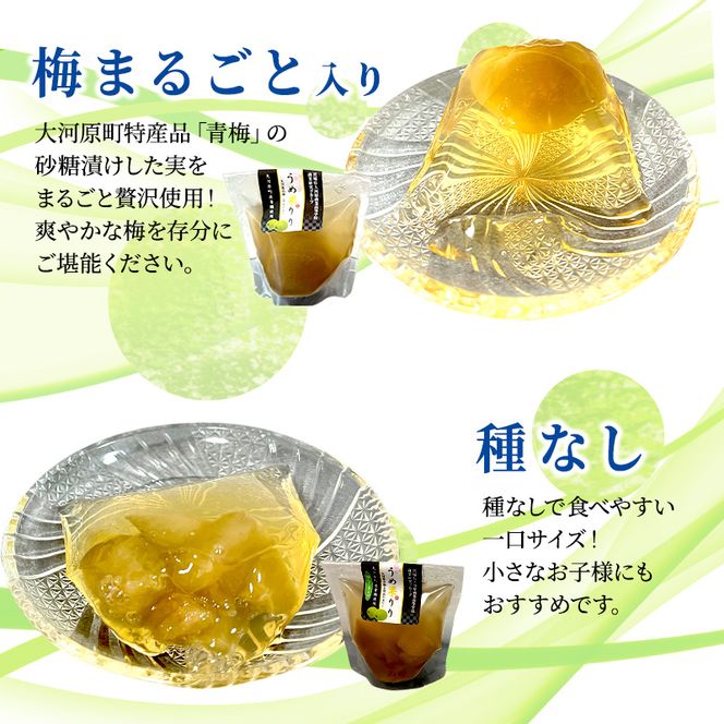 大河原の梅と清水のゼリー うめ果りり 10個入り 10,000円台おすすめ返礼品 お菓子 スイーツ 和スイーツ 梅の風味 梅ゼリー おやつ 食後 ひんやりスイーツ 涼 夏 さっぱり やさしい甘味 酸味 