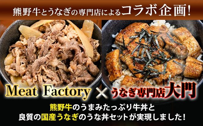 牛丼 熊野牛 国産うなぎ うな牛丼セットB 計12食 各6食 株式会社Meat Factory《30日以内に出荷予定(土日祝除く)》和歌山県 日高川町 牛肉 肉 牛丼 国産 うなぎ うな牛 送料無料---wshg_fmfy31_30d_24_62000_6p---